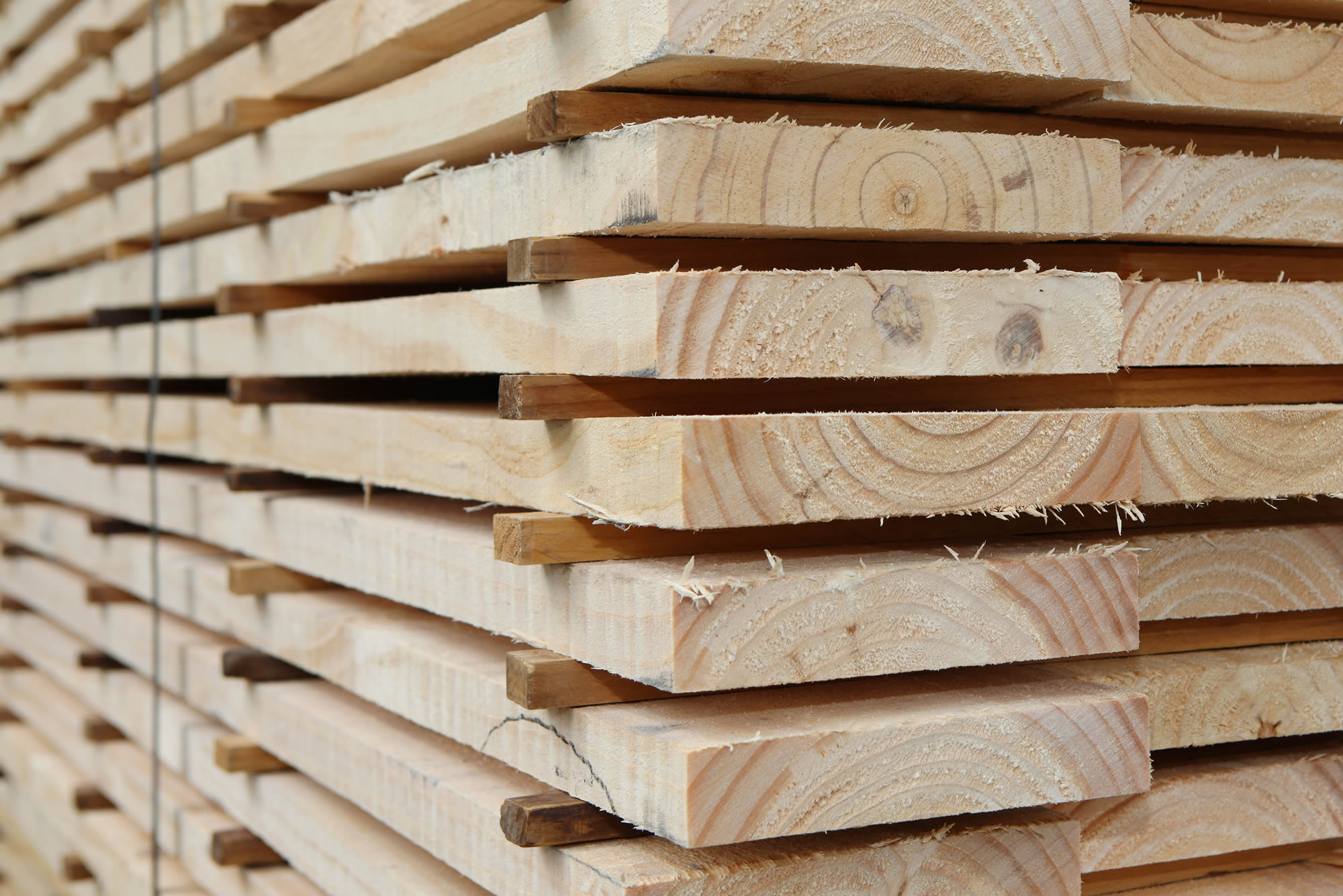RapidBuild Green Manufactured Homes - kiln dried lumber
